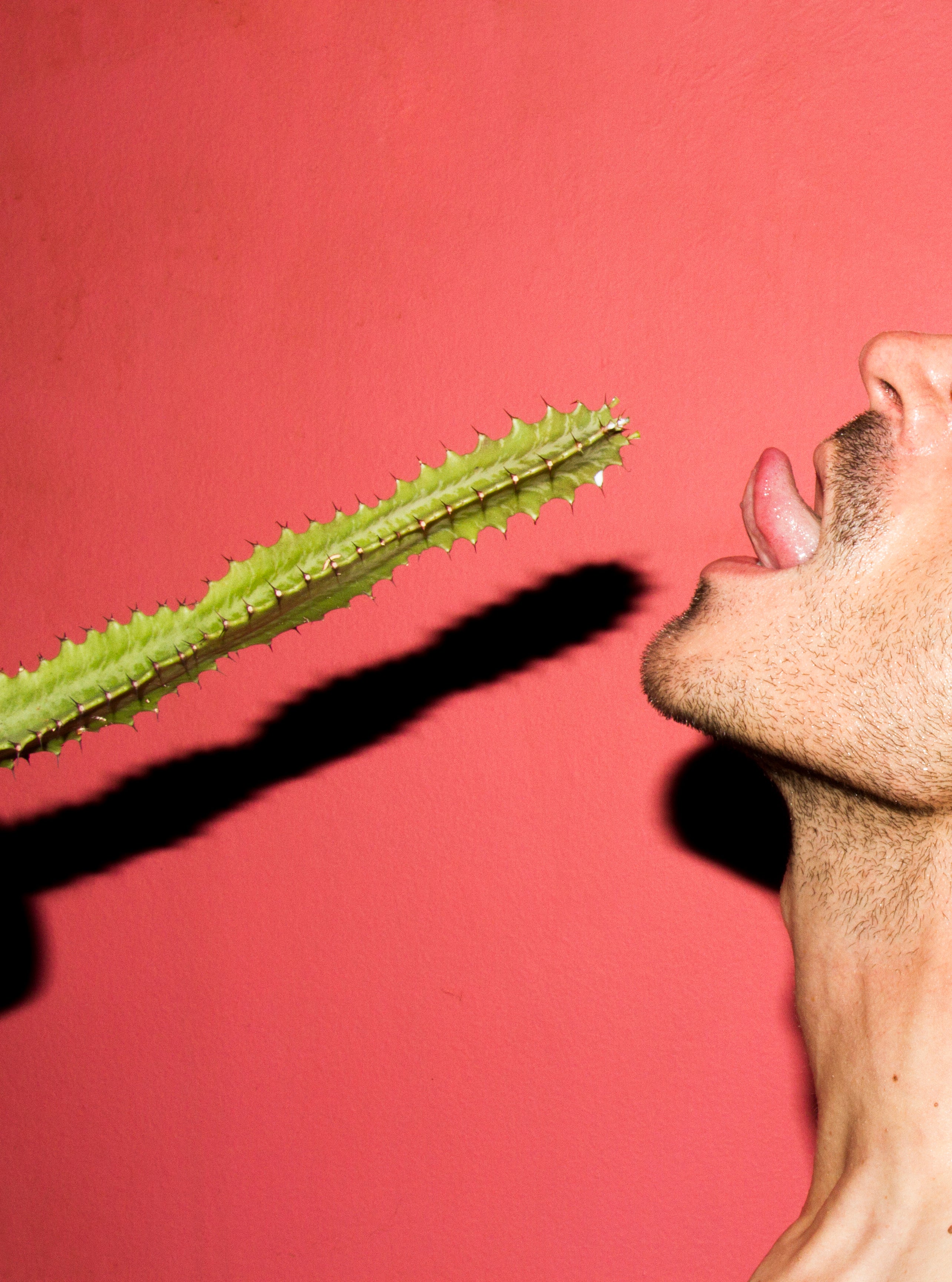 Cactus Blow Job, 2016, Nikos Stamatopoulos