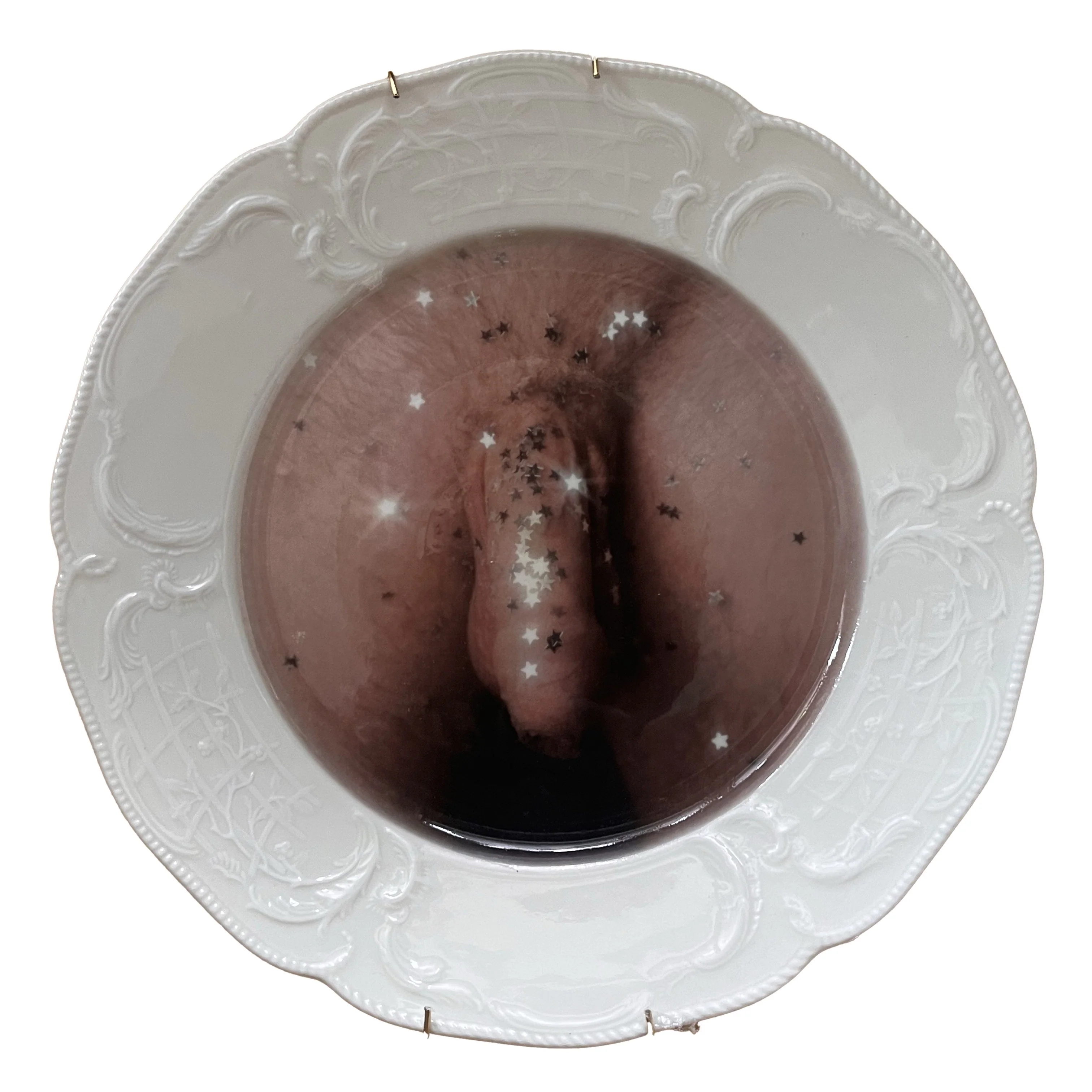 Penis, from Stardust series, 2023, Alexander Courtman