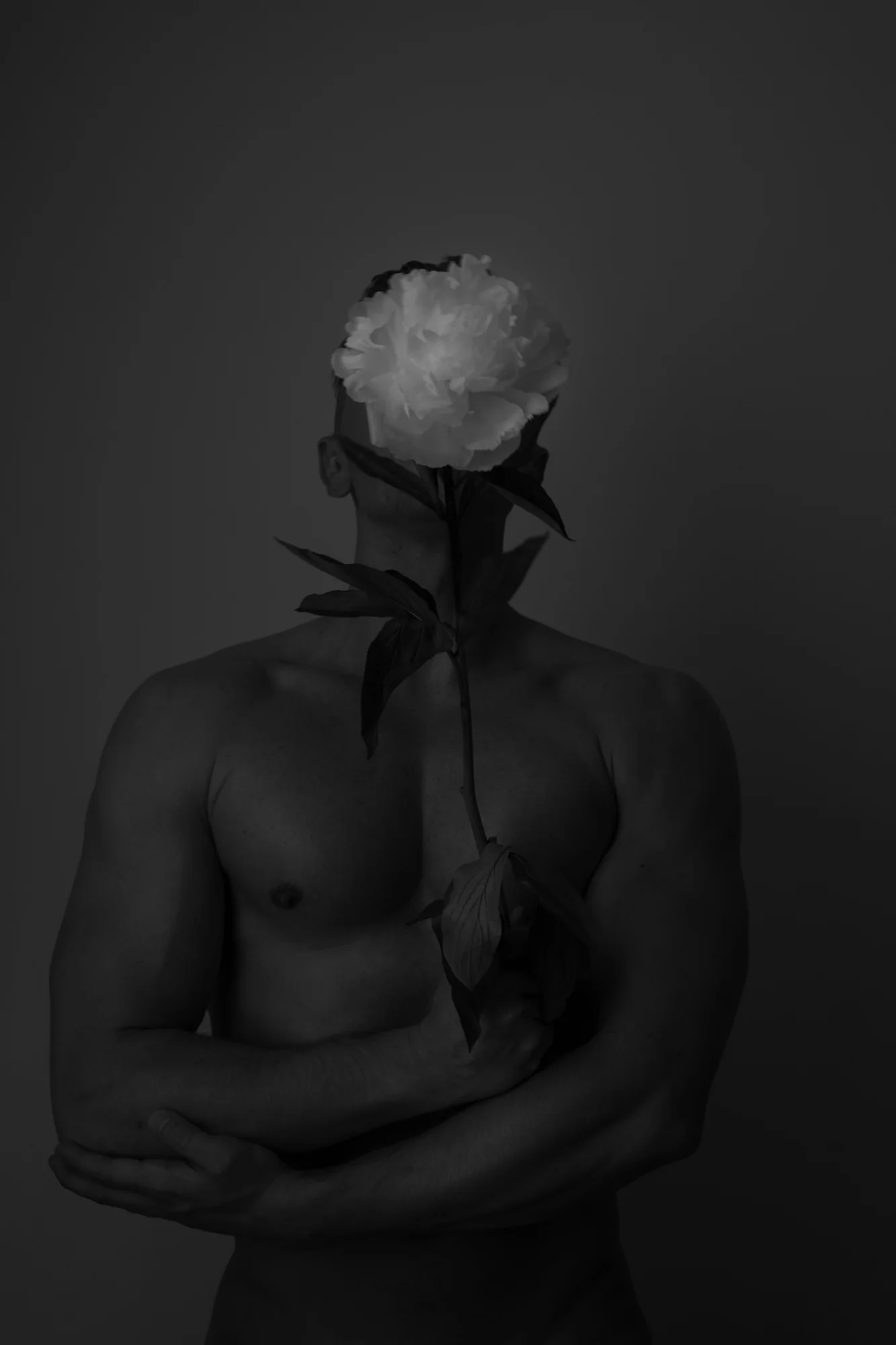 Peonie , 2018, Ivan Donadio
