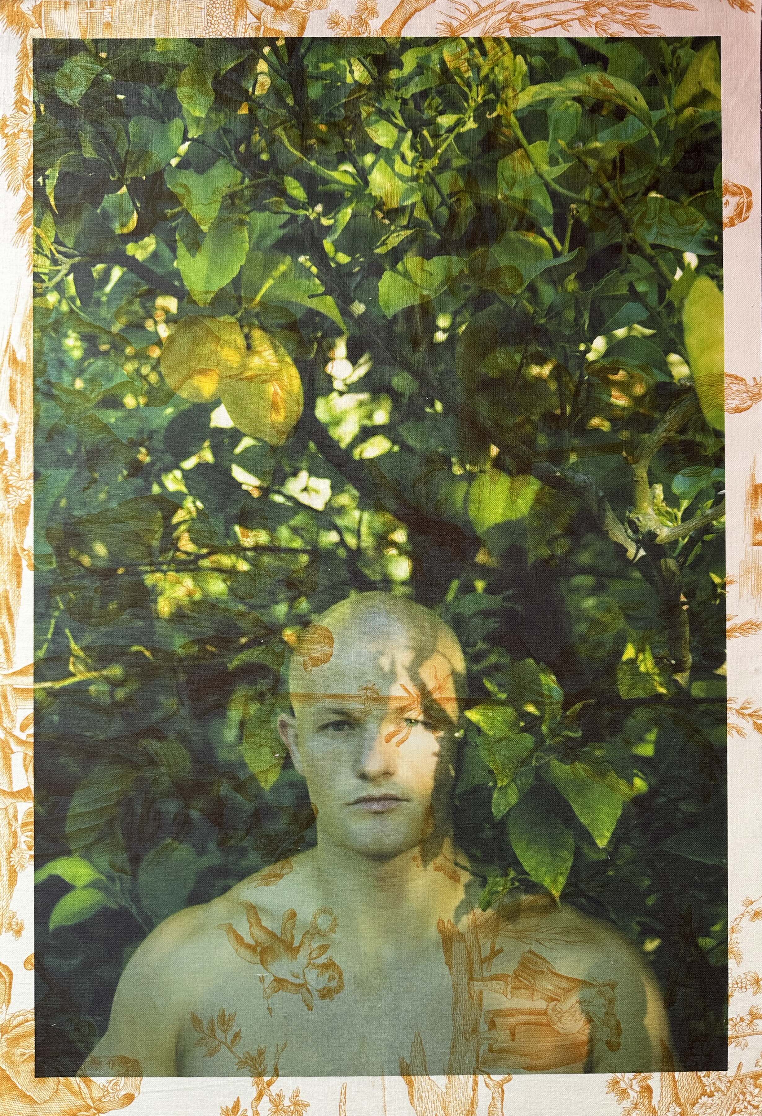 Slava Los Angeles With Lemon Tree (on yellow pastoral toile), 2014, Tim Hailand