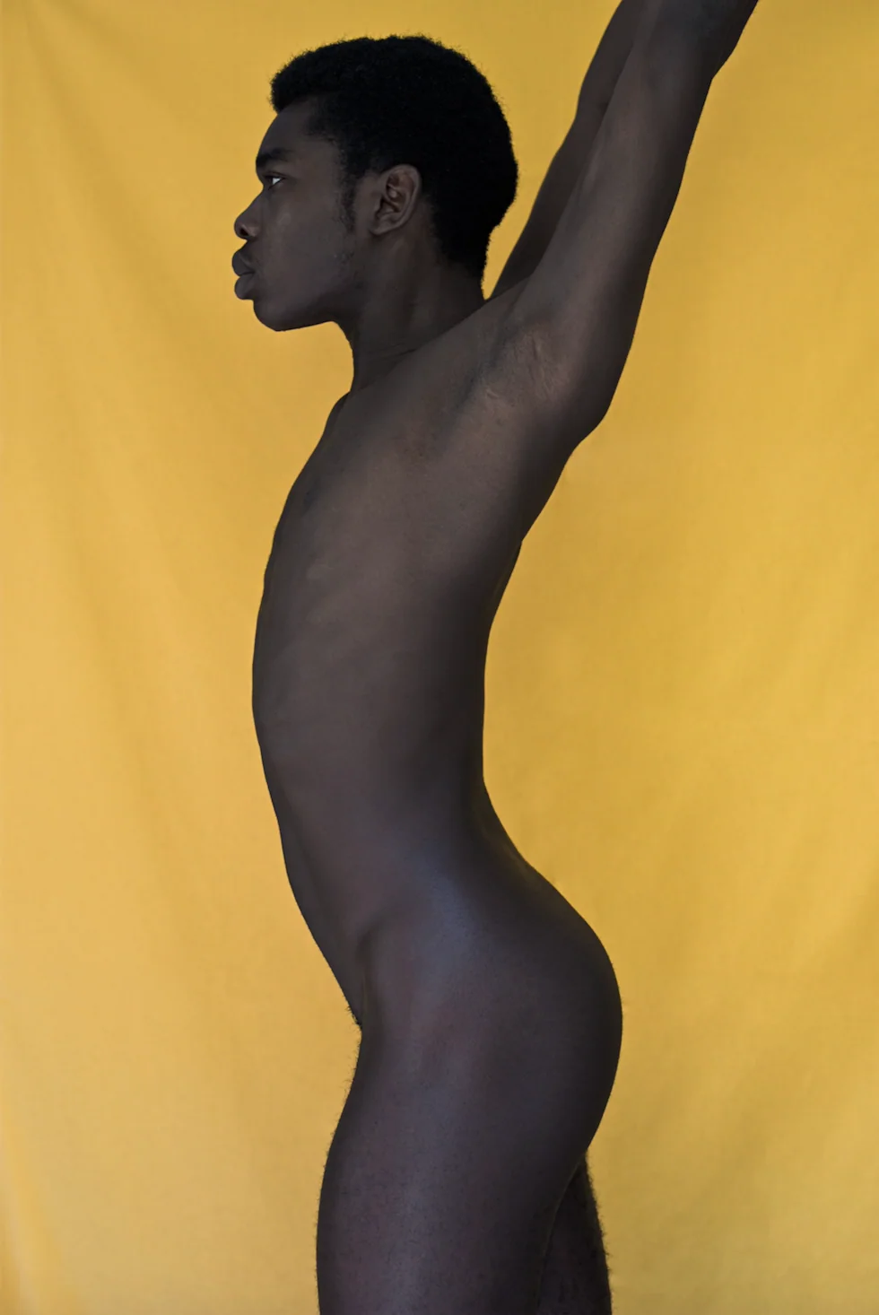 The Reed, 2018, Domenico Cennamo