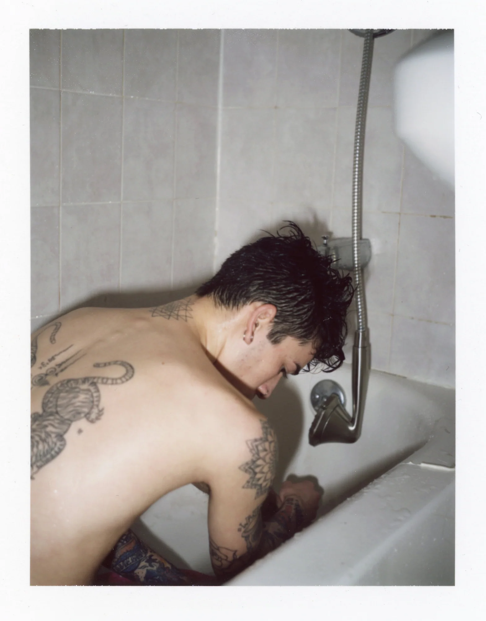 TJ, 2015, Sebastian Perinotti