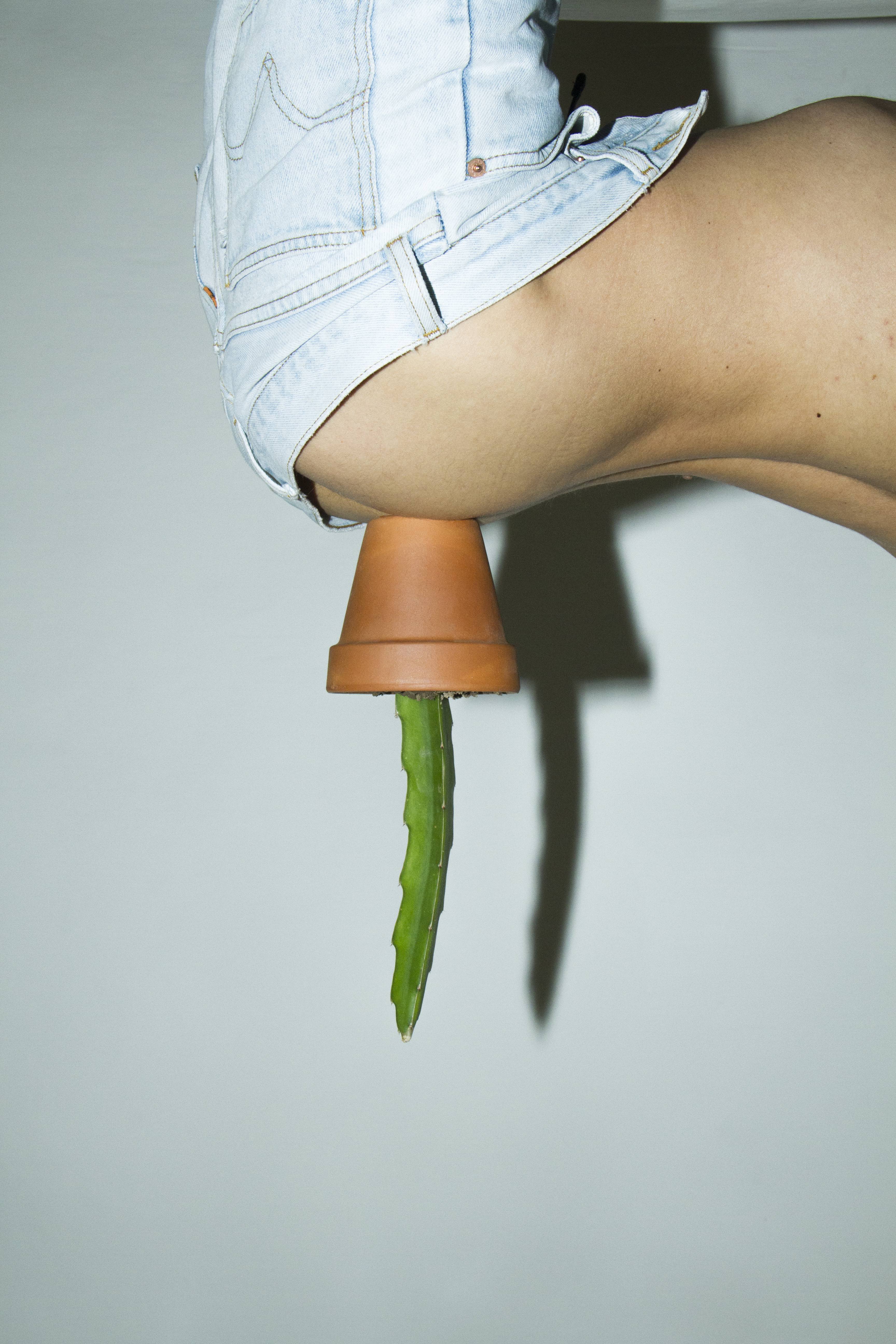 Ups and Down Cactus, 2019, Nikos Stamatopoulos